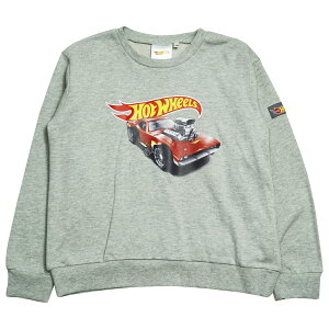 2026�N �t�� �z�b�g�E�B�[�� �~�j���� �X�E�F�b�g�V���c Hot Wheels