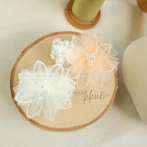 ։ԃwAANZT[ Ԃт wAoh xr[ wAANZT[ wAS J`[V zCg sN jZbNX 