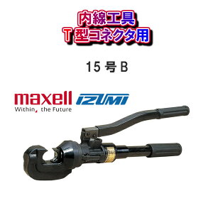 yIzmaxell IZUMI򐸊퐻쏊HT^RlN^p15B