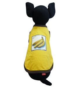 Bi  ^Ngbv ^ ^ hbOEFA[  F M L oii  A