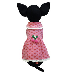  n[g s[X sN  [X ̎q ^ ^ hbOEFA[ S XJ[g n[g TN{ 