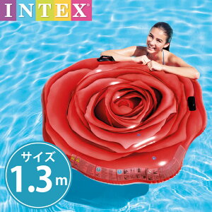  {[g    t[g n[g n[g^ 킢 sNF 150cm rbOTCYt[g v[ECEW[ɍœK   傫 傫 INTEX CebNX