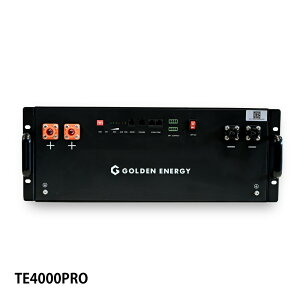 リチウムイオンバッテリー 51.2V 100Ah 5.12kWh リン酸鉄リチウムイオンバッテリー ラック式 Lifepo4 48V仕様 蓄電池 サブバッテリー用 高機能バッテリー 非常用電源 リン酸鉄 LifePo4