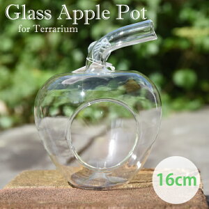 KXAbv KX Abv GAvc A CeA eE |bg  rO  