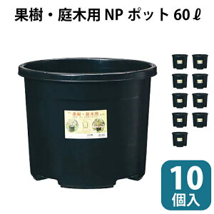 苗木 果樹 植木ポット #60 10個セット 10pc 大容量 60リットル 60L 60 NPポット ブルーベリー 農業 ブラック 直径515mm 515×420mm