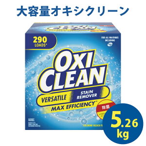 ILVN[ 5.26kg RXgR e  _fnY  ILV   s \Y  Y ILVЂ OXICLEAN | Y ݔ Ђu H Ƌ 290 Ɩp ߗ zi 