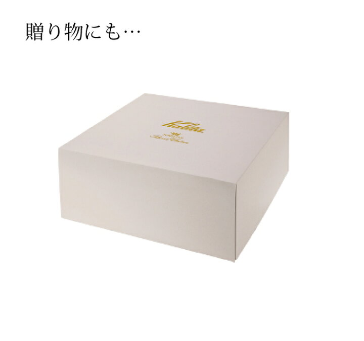 楽天市場】カリタ ドリッパーギフトセット ナルミ BC-185 生産数量限定 