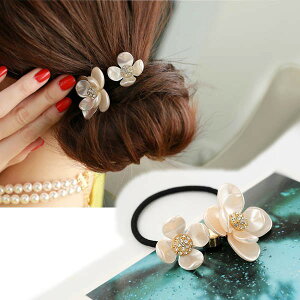 p[t[  wAS VV CXg[ cc  wAANZT[