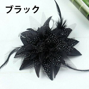 tFU[ t[ wANbv _A wAANZT[ tR Ќ_X l  U p[eB 