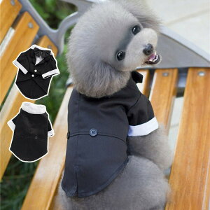 ^LV[h   㒅 ybgEGA ybg ̕  ybgpi XgCv@hbOEFA pi p ybgObY ʐ^ Be  j LO p[eB[  ^ tH[