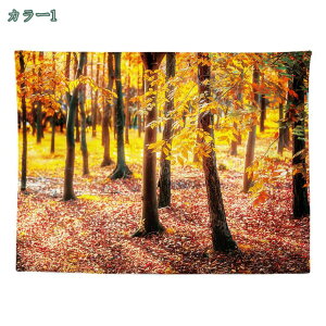 ^yXg[ ̐X ܂ڂ낵 t@^W[ O Â u CeA @\  Ǌ|   Ǖz J[e ͗lւ C] z|X^[ CX^f Bep wiz 