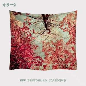 X̑ ^yXg[ Ri ̗  Ǌ| z CeA EH[A[g z|X^[ @\  ǂ̏ X X Mtg V bNX  k R 