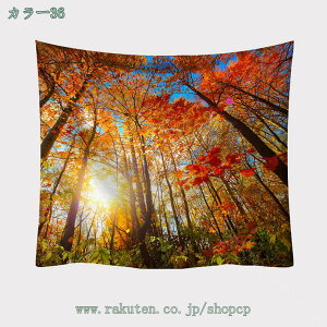 yVX[p[SALE X̑ ^yXg[ Ri ̗  Ǌ| z CeA EH[A[g z|X^[ @\  ǂ̏ X X Mtg V bN