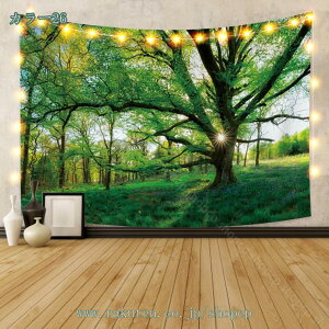 c[ X R i   Ǌ|^yXg[ Ǐ  rO[ xbh[   iXJ ΂̖؂Ƒ ؘR \t@[Jo[ ʐ^Be̔wiz r[`^I 