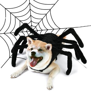 ybg̕ nEB Halloween w N S5TCY }WN^Cv   Lnbg ybgpRXv EȒP  L  L[g hbOEFA ʔ Be  