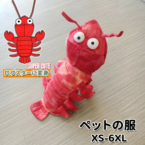 ybg̕ nEB Halloween uX^[ɕϐg LRX`[ RXvߑ   ւ ϐgObY  ϑ EȒP  L L[g hbOEFA ʔ Be 