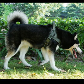 ハーネス 犬 中型犬 メッシュ 散歩 調整可能 抜けない かわいい おしゃれ 通気性良い 負担が少ない 犬 ハーネス ペット用胴輪ハーネス ソフトベストハーネス ハーネスリード セット YJSO