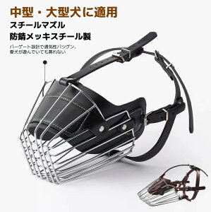   ݂h~ ybgp}XN X`[ S XeX pi  ybgp  ih~ g[jO p  ʖi U Oo  ^ ^