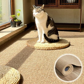 ラグ 和風 洗える 滑り止め付 ホットカーペット対応 床暖房対応 秋 冬 オールシーズン リビング 防ダニ加工 滑り止め付き 年中 たたみラグ おしゃれ 茶室 和室 ラグマット カーペット 2畳 3畳 長方形 円形