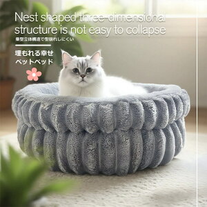 Lpxbh ybgxbh ^ L ybgpi lR xbh  ybgnEX Lxbh pxbh }bg NbV h   ۉ h lG