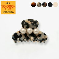 【最大10,000円クーポン】アレクサンドル ドゥ パリ ALEXANDRE DE PARIS ヘアクリップ（スモールサイズ）…