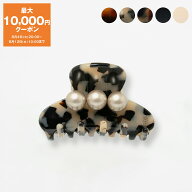 【最大10,000円クーポン】アレクサンドル ドゥ パリ ALEXANDRE DE PARIS ヘアクリップ（スモールサイズ）…