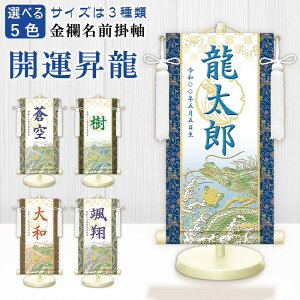 O EO| J^  34cm/45cm/55cm cIWi [߂̐ߋ j̎q