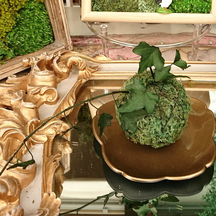 楽天市場 苔玉プリザ プリザーブドフラワー 枯れない 苔 コケ こけ モス 本物の苔を加工 ハイゴケ ヤマゴケ スナゴケ インテリア テラリウム 珍しい 趣味 花 ガーデン ちば花プリザ