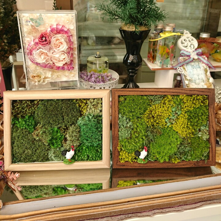 楽天市場 苔フレーム プリザーブドフラワー 枯れない苔 モス 本物の苔を加工 ハイゴケ ヤマゴケ スナゴケ 珍しい 趣味 花 ガーデン ちば花 プリザ