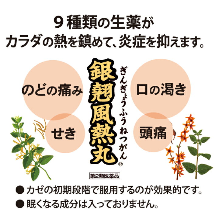 楽天市場 第2類医薬品 銀翹風熱丸 48丸 ぎんぎょうふうねつがん 銀翹散の丸剤 ぎんぎょうさん 八目 八つ目 やつめ 八ッ目 千葉漢方薬局 楽天市場店