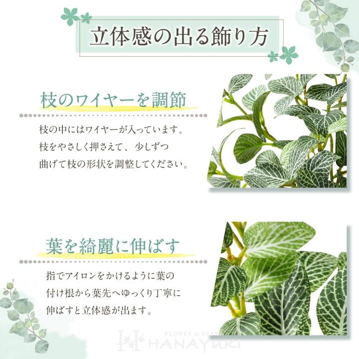 日本最大級 フェイクグリーン フィットニア 卓上サイズ 27cm 光触媒加工 人工観葉植物 おしゃれ グリーン 母の日 プレゼント 父の日 開店祝い  開業祝い HANAYUKI