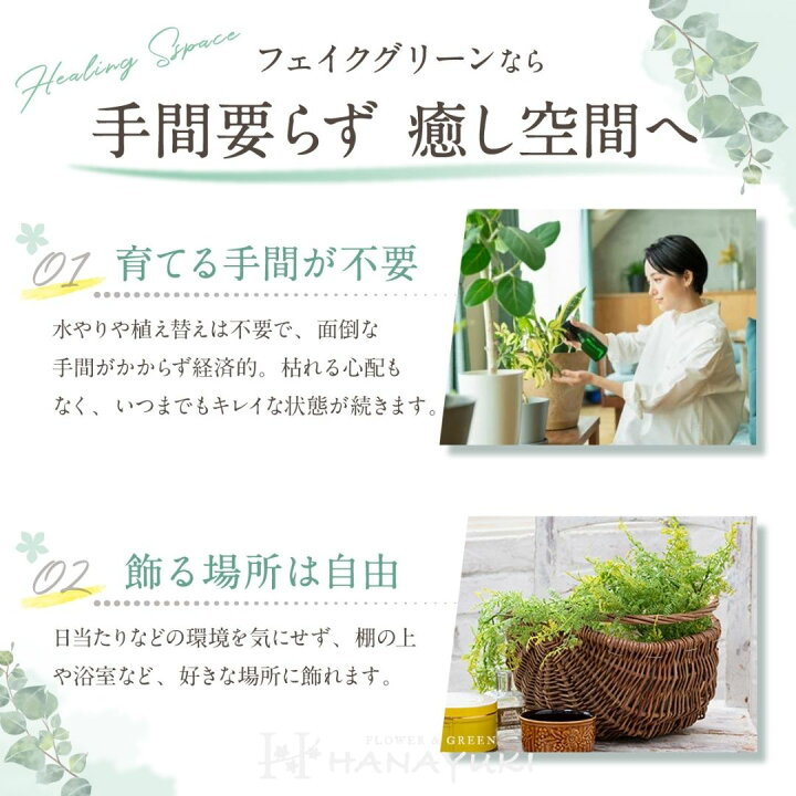 楽天市場 お買い物マラソン 次回使える３ Offクーポン配布中 あす楽 人工観葉植物 フェイクグリーン ザミフォーリア 25cm 光触媒加工 卓上サイ フェイクグリーン ミニ インテリア 観葉植物 グリーン 人工観葉植物 おしゃれ 人工観葉植物 誕生日プレゼント Hanayuki