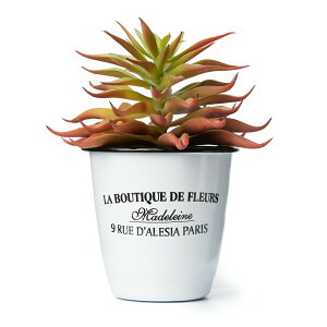 HANAYUKI tFCNO[ GPxA bhF 18cm G}H tFCNO[ ~j tFCNO[  CeA ̓ v[g av[g j މ@j ސEj