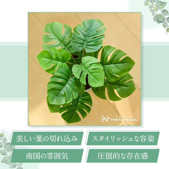 楽天市場】【あす楽】人工観葉植物 フェイクグリーン モンステラ 30cm 卓上サイズ 光触媒加工付き 防水加工済み 観葉植物 室内用 おしゃれ インテリア 新築祝い 開店祝いプレゼント 【HANAYUKI 】 : Chiba Mart 楽天市場店 楽天市場】【あす楽】人工観葉植物 フェイクグリーン モンステラ 30cm 卓上サイズ 光触媒加工付き 防水加工済み 観葉植物 室内用 おしゃれ インテリア 新築祝い 開店祝いプレゼント 【HANAYUKI 】 : Chiba Mart 楽天市場店