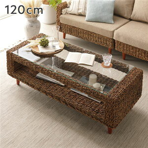 (C{CXΉ)[e[u 120cm KX V rt t It [t ϋv v  Rf AoJ e[u Z^[e[u rOe[u rg Ce