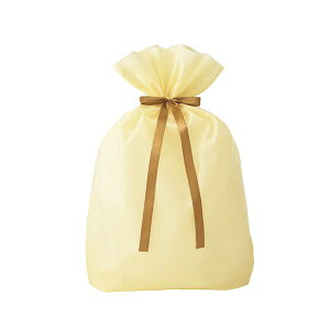 (C{CXΉ)i܂Ƃ߁j TTK ВܒBIG AC{[ 750×1000mm 50-3959 1 y×5Zbgz