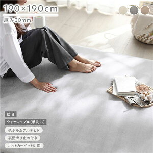 (�C���{�C�X�Ή�)�������� �h�� ���O ��190×190cm ���C�g�O���[ �E���^�� �t�����l�� ����~�߉��H �Y���ɂ��� ���OK �􂦂� �E�H�b�V���u�� �z�b�g�J�[�y�b�g ���g�[�� �E���^��30mm�� ��v 