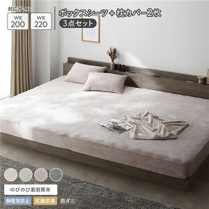 (C{CXΉ)̂т̂ gxA {bNXV[c+Jo[(2) 3_Zbg ChLO200`220cm JO[W ÓdCh~ RۖhL h_j