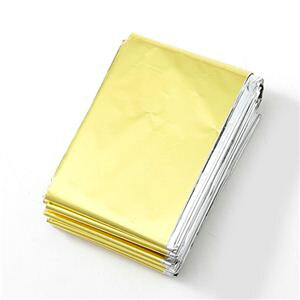 (C{CXΉ)ȈՖhQ  hV[g