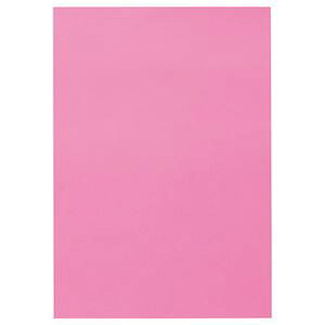 (C{CXΉ)i܂Ƃ߁j TANOSEE Fp l  1pbNi10j y×15Zbgz