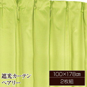 (C{CXΉ)ՌJ[e TVF[h 2g / 100cm×178cm O[ / n Vv 􂦂 wyA[x 㑕