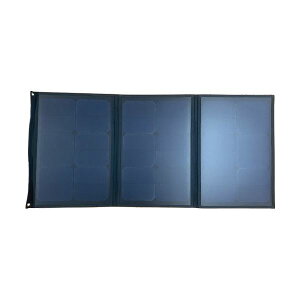 (�C���{�C�X�Ή�)���{�v���t�B�b�N�X�E�G���W�j�A�����OPOWER VALUE SAVER �\�[���[�p�l�� PVSSL-60 1��