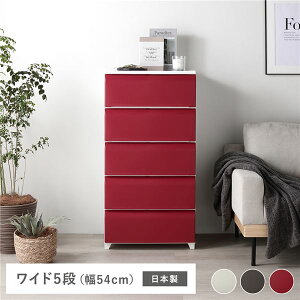 (C{CXΉ)^X Ch 5i 54cm bh vX`bN rt t |ȒP tbgdl { Y zRɂ `FXg ߗގ[  ߗރP[X ߗރ{b