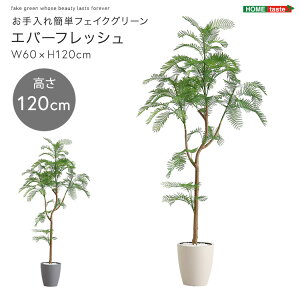 ȒPtFCNO[@Go[tbV@STCY(120cm)