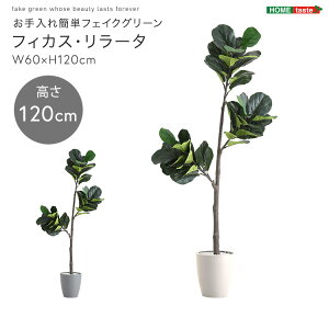 ȒPtFCNO[@tBJXE[^@STCY(120cm)