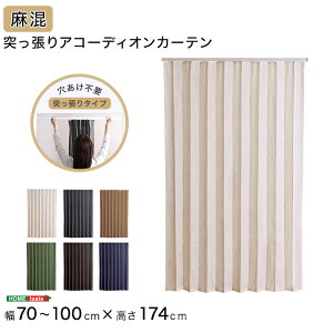 ςAR[fBIJ[e@100×174cm@dl