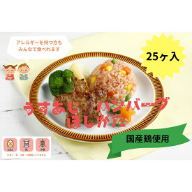 《冷凍》 日東ベスト FMうす味星型ハンバーグ40 40GX25個入 アレルギー対応 乳不使用 卵不使用 小麦不使用 学校給食 業務用 フレンズミール お惣菜 惣菜 おつまみ おかず お弁当 冷凍食品 冷食 時短 大容量 安心 安全