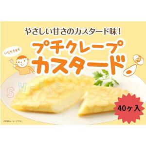 sⓀt CTt[Y v`N[vJX^[h 25GX40 wZH Ɩp