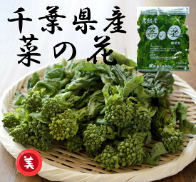 《冷凍》 千葉県房総産菜の花（カット）500G 学校給食 業務用
