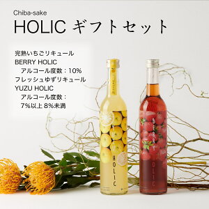 yL[zHOLICMtgZbg nL[BERRY HOLIC tbV䂸L[ YUZU HOLIC 500ml×2{ Ì it  Ε Ε O v[g yY p 
